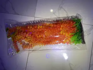 Long Plant for Aquarium 50cm