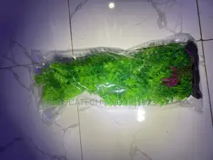 Long Plant for Aquarium 50cm