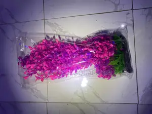 Long Plant for Aquarium 50cm
