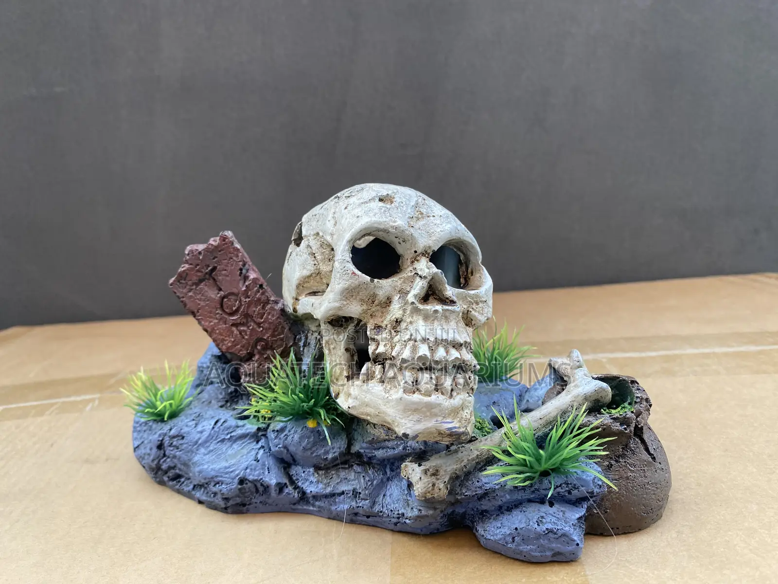 Skull Decor for Aquarium