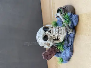 Skull Decor for Aquarium