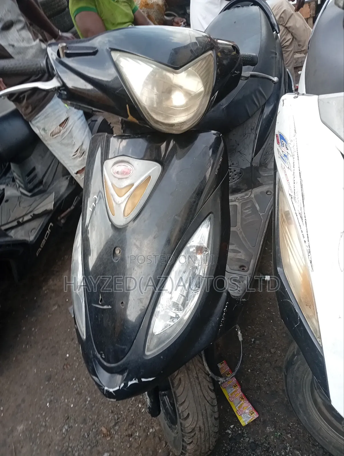 Kasea RC 300 2015 Blue