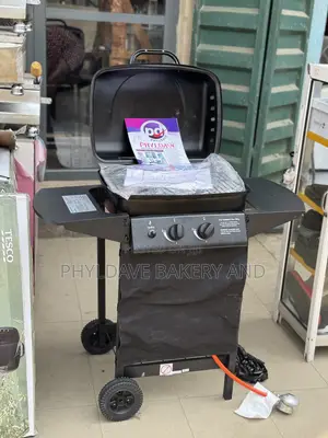 Commercial Gas Bbq 2 Burner