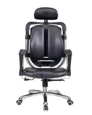 Ergonomic Kidney Office Chair