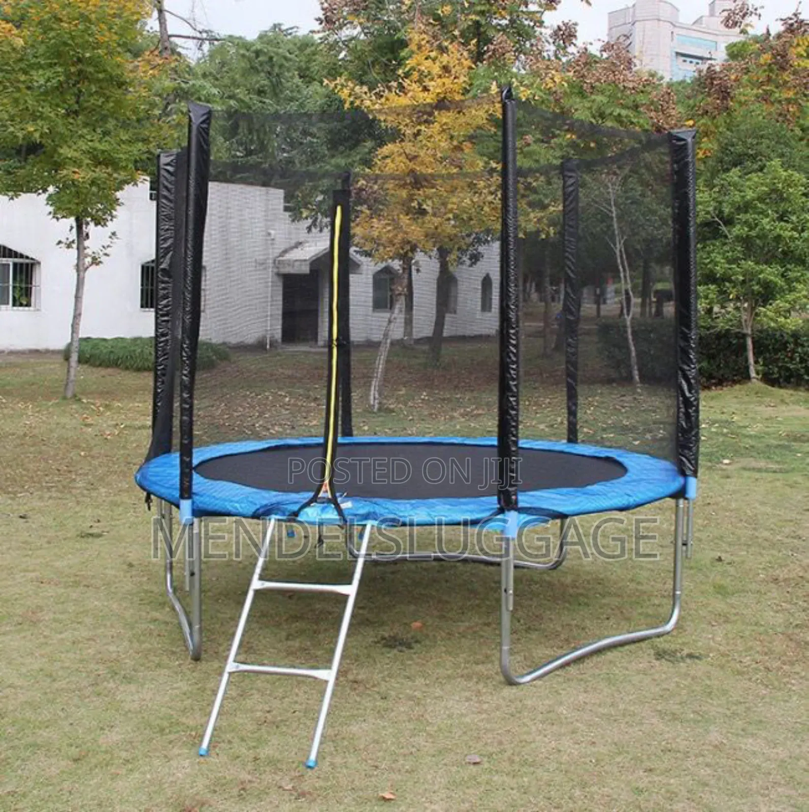 Generic Executive Trampoline