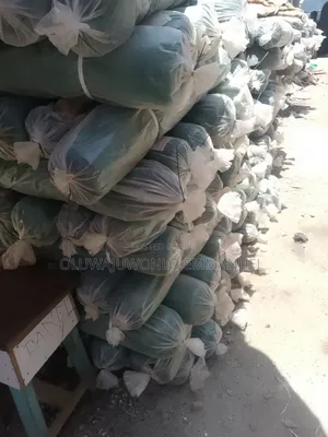 Scaffolding Net