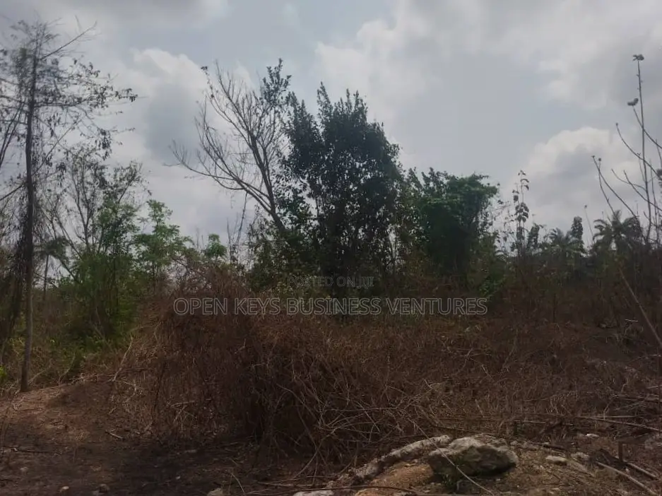 One Acre Commercial Land