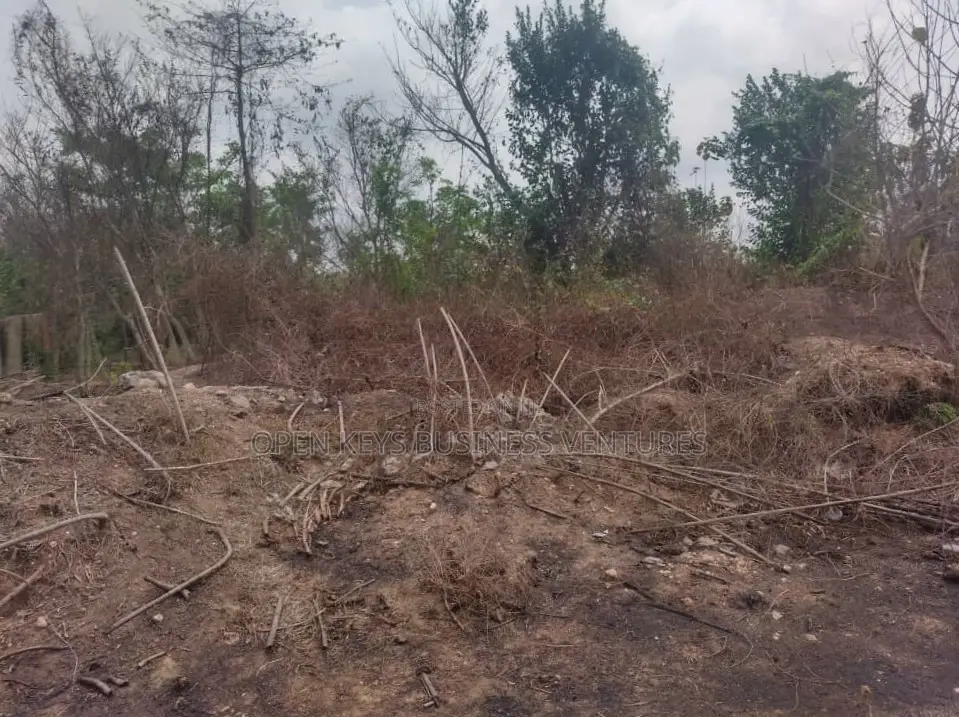 One Acre Commercial Land