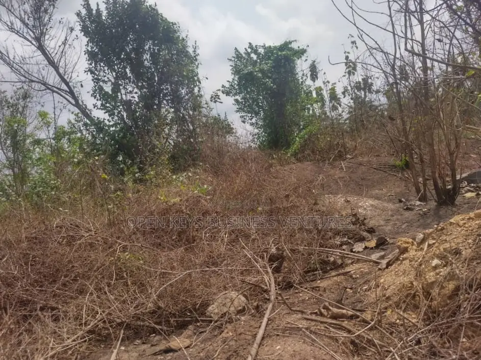One Acre Commercial Land