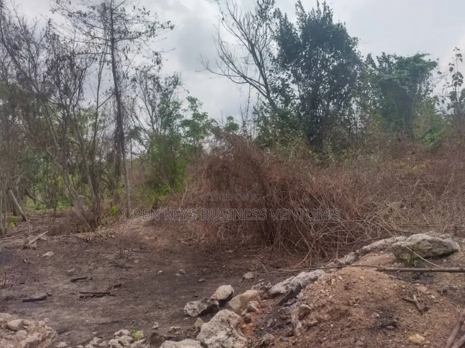 One Acre Commercial Land