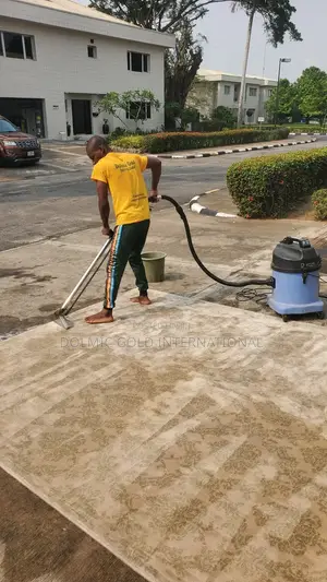 Same Day Carpet Cleaning