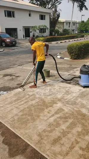Same Day Carpet Cleaning