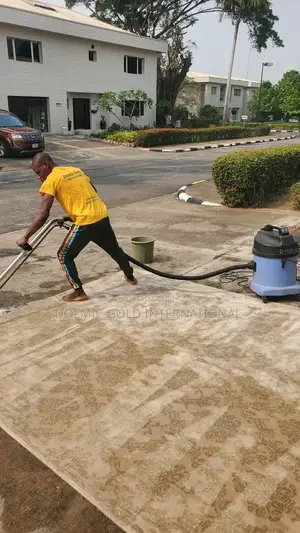 Same Day Carpet Cleaning