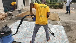 House Carpet And Rug Cleaners