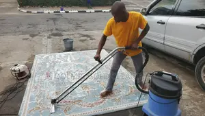 House Carpet And Rug Cleaners
