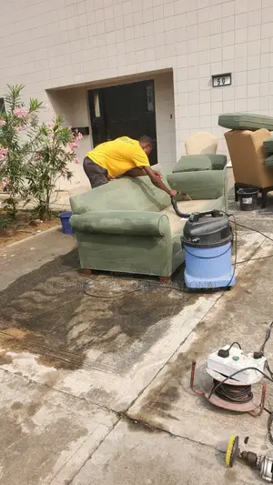 Furniture Cleaning