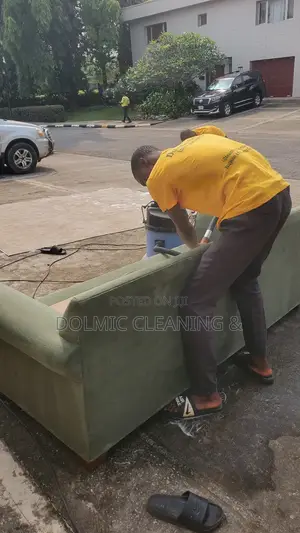 Furniture Cleaning
