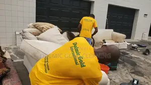 Furniture Cleaning Services