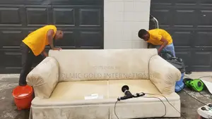 Furniture and Rug Cleaning