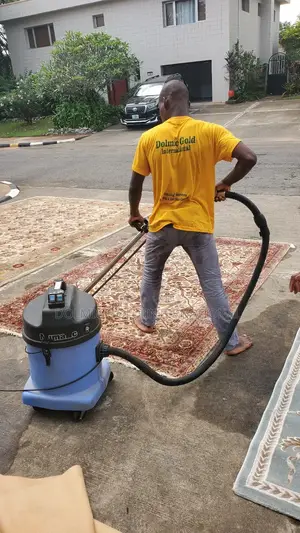Furniture and Rug Cleaning
