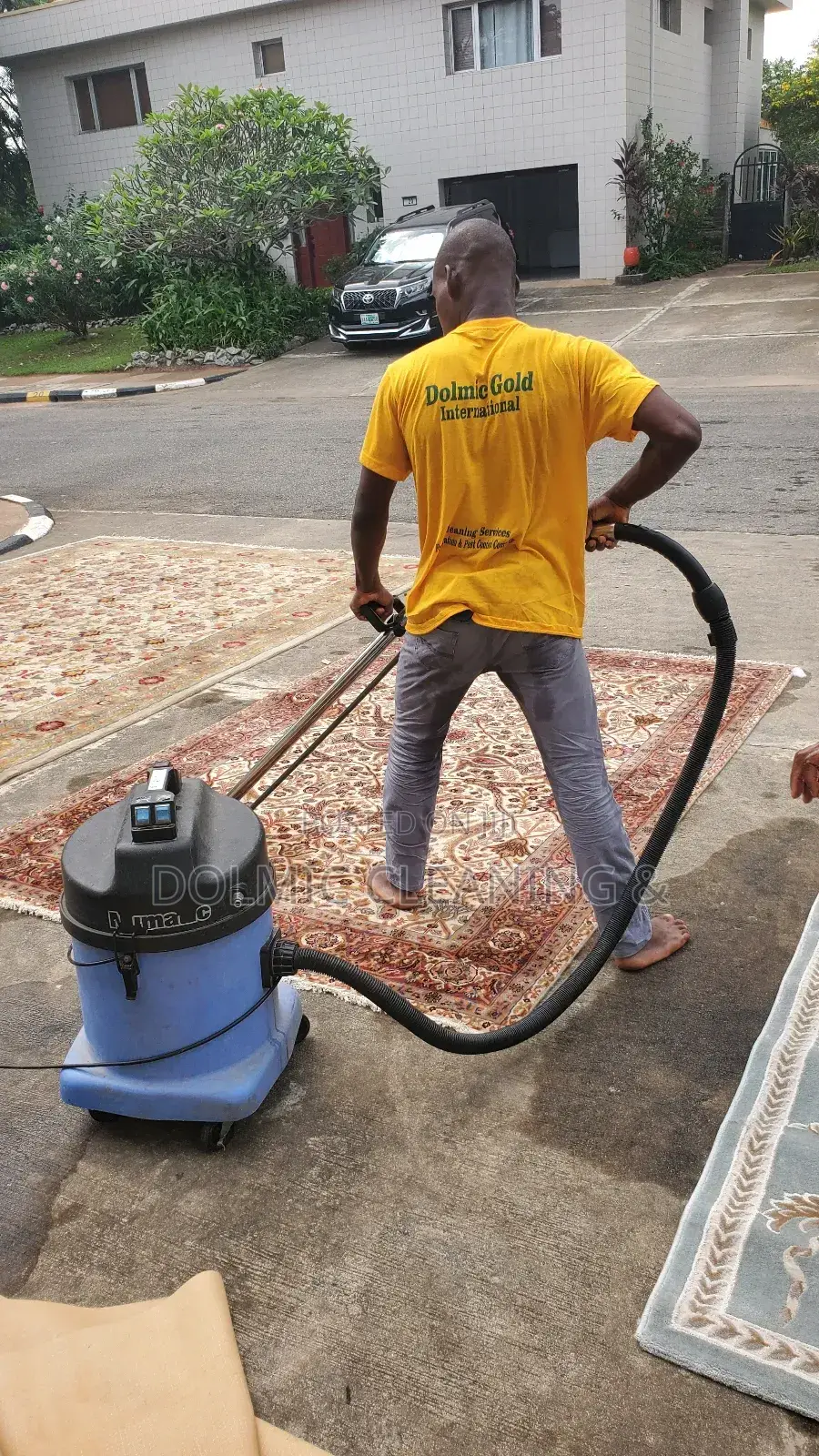 Furniture and Rug Cleaning