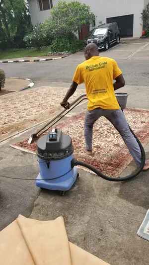 Furniture and Rug Cleaning