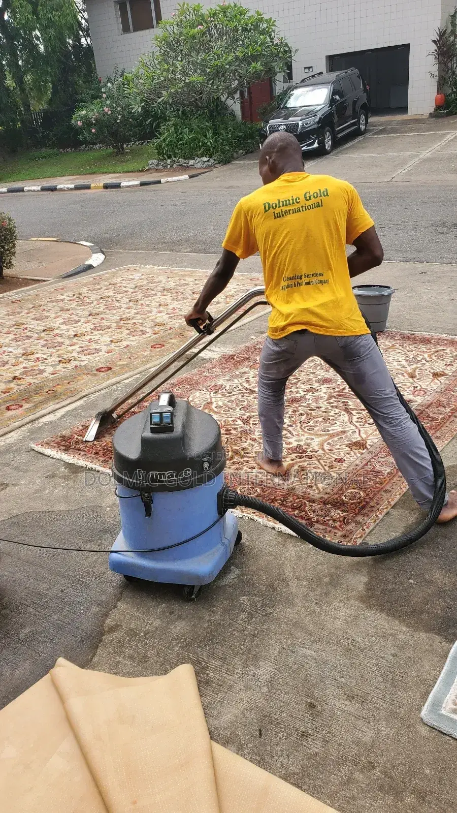 Furniture and Rug Cleaning