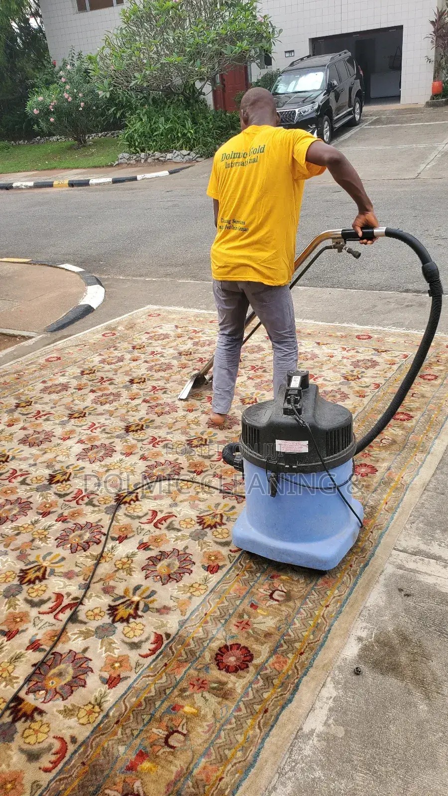 Furniture and Rug Cleaning