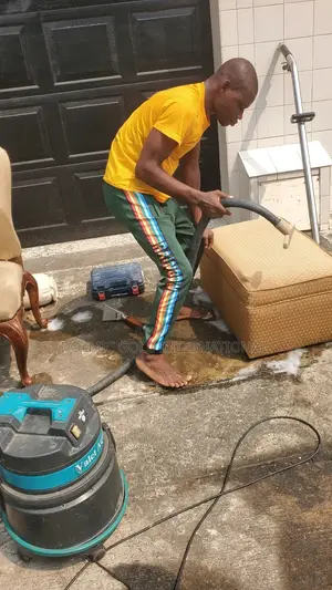 Professional Carpet and Furniture Cleaning Services