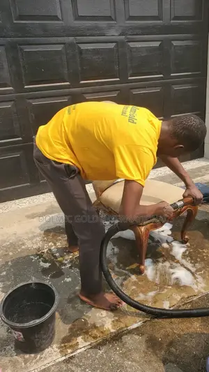 Professional Carpet and Furniture Cleaning Services