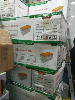 Baumann Electric 200a Gel Battery