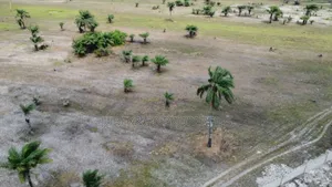 A Plot at Ketu Epe