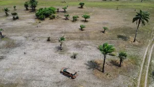 A Plot at Ketu Epe