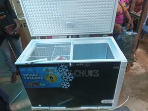 Nexus Inverter Chest Freezer 315l