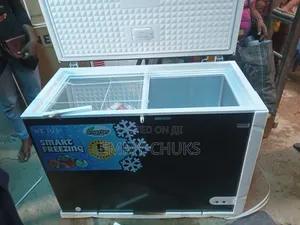 New Quality Inverter Nexus Deep Freezer