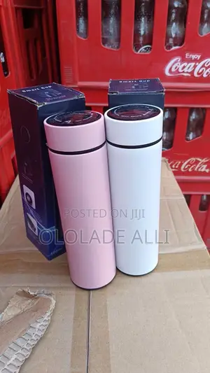 Temperature Flask