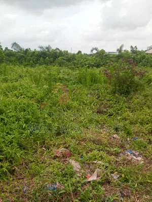 165sqm Ijegun Batist Bustop Festac Link New Rd