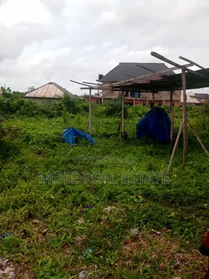 KLM of Farm Farm Land Now Selling at Ogun State