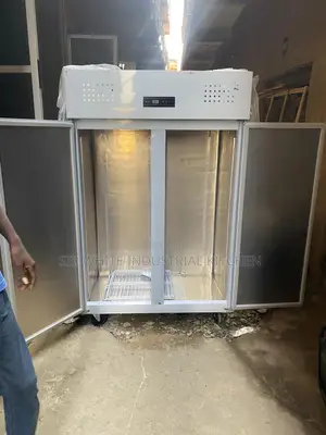 Double (2) Industrial Freezer Used Kitchen, Restaurants