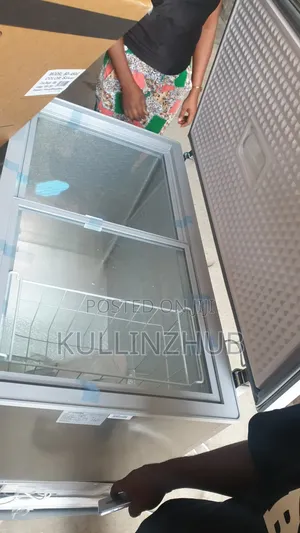Snowsea Horizontal 450liters Chest Freezer