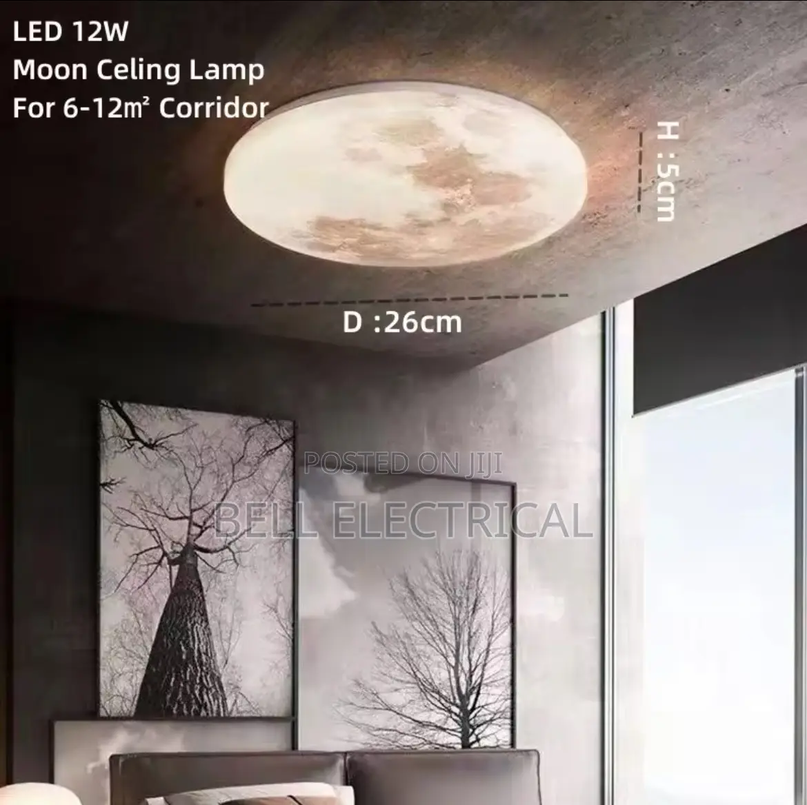 3d Moon Ceiling Lamp
