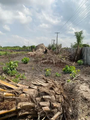 Land for Sale at Sangotedo