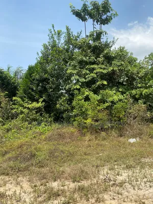 Bulk Land for Sale at Sangotedo