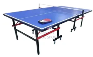 Outdoor Water Resistant SMC Ping Pong