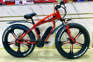 Photo - Big Tire Electric Bicycle