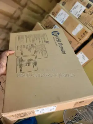 Hp V197 Monitor