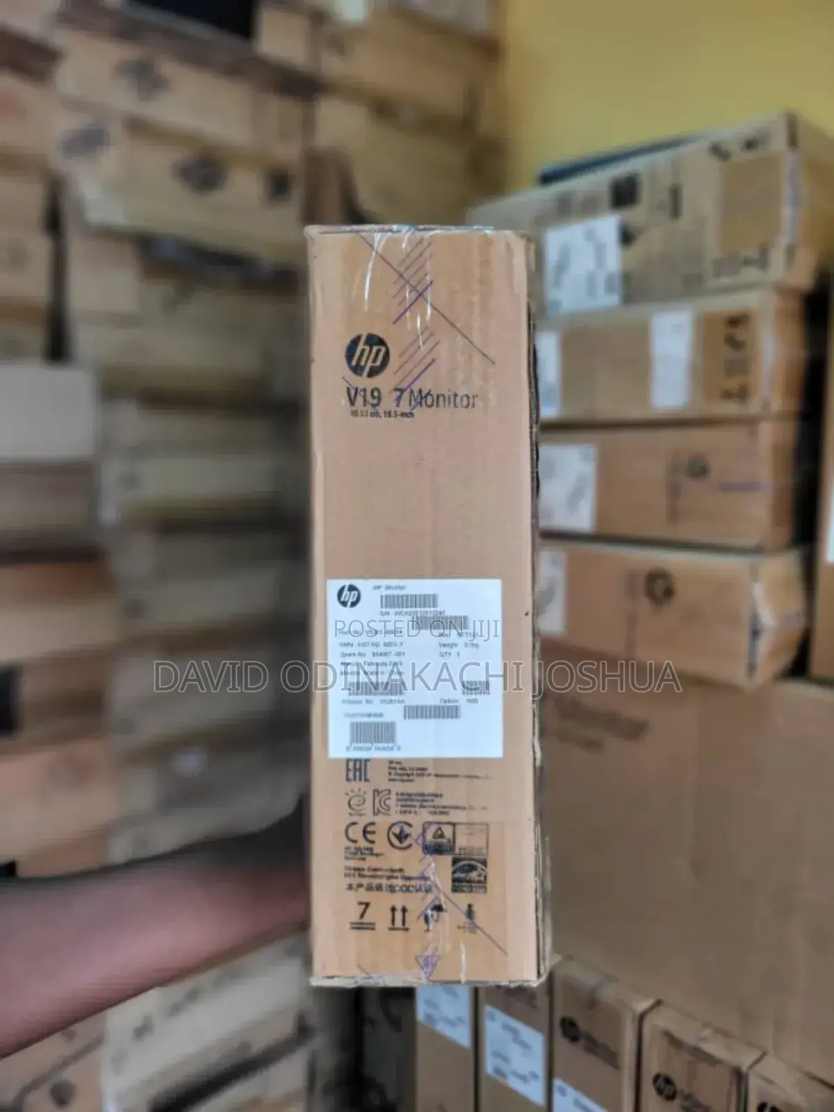 Hp V197 Monitor