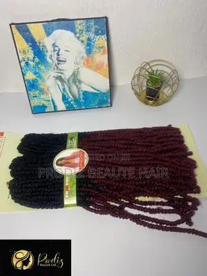 Freedom Noble Link Crochet Locs – Lightweight, Stunning!