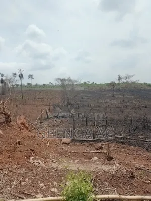 Plots of Land for Sale at Odunbaku Siun Ogun State