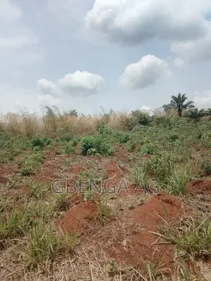 Land for Sale at Rainbow Garden